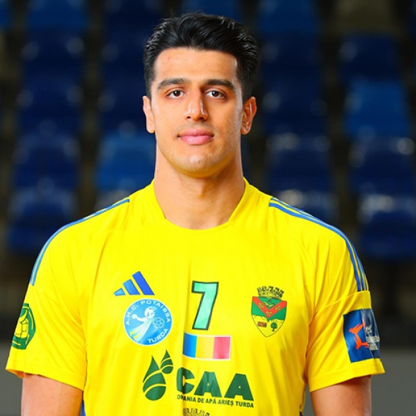 Mehran Falavarjani